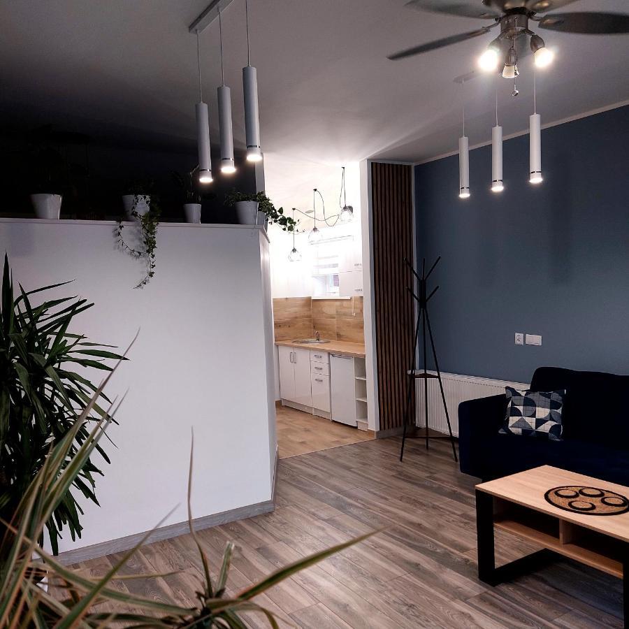 Apartament Przy Bialym Koniu كوزتسالين المظهر الخارجي الصورة