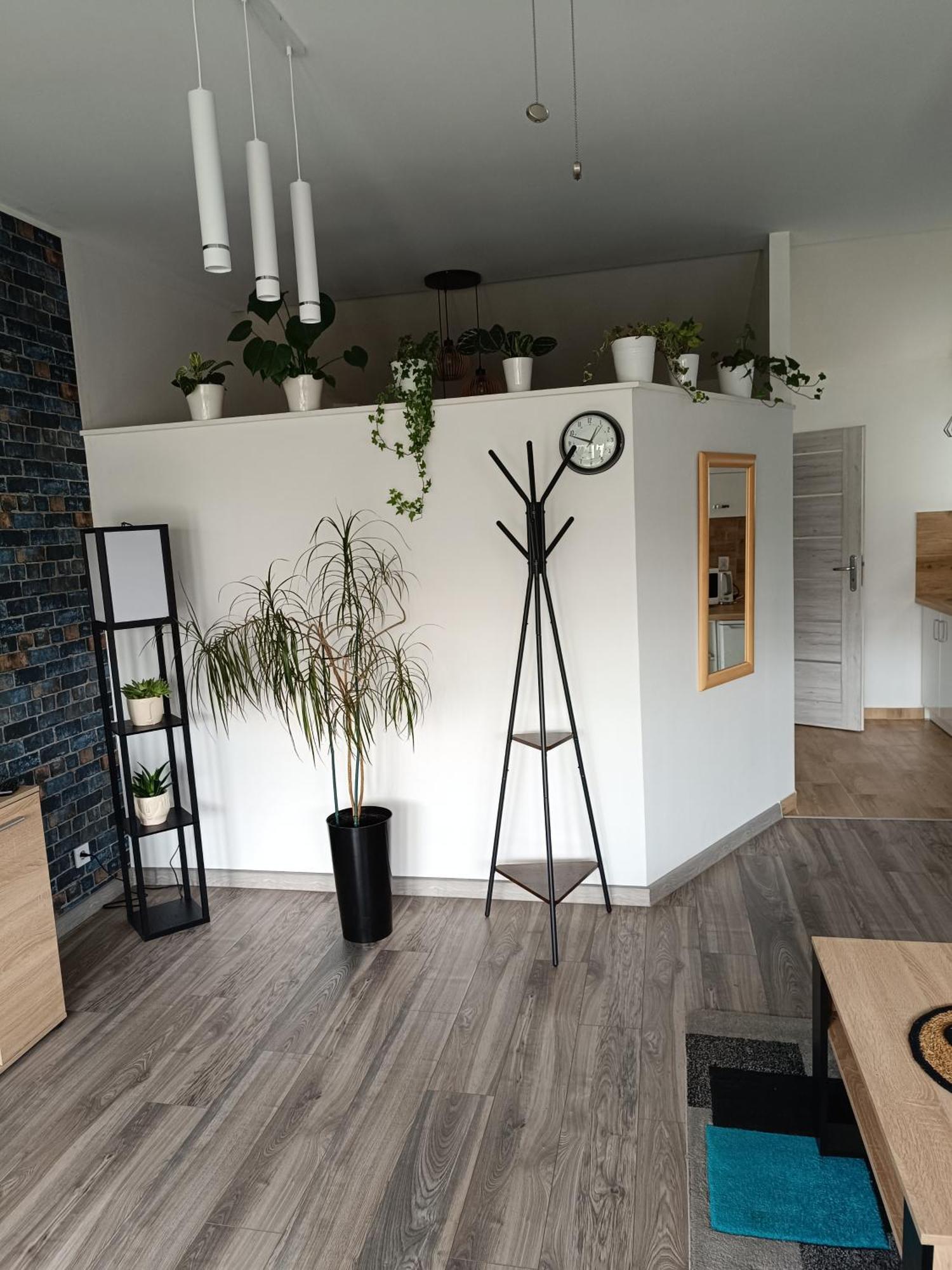 Apartament Przy Bialym Koniu كوزتسالين المظهر الخارجي الصورة