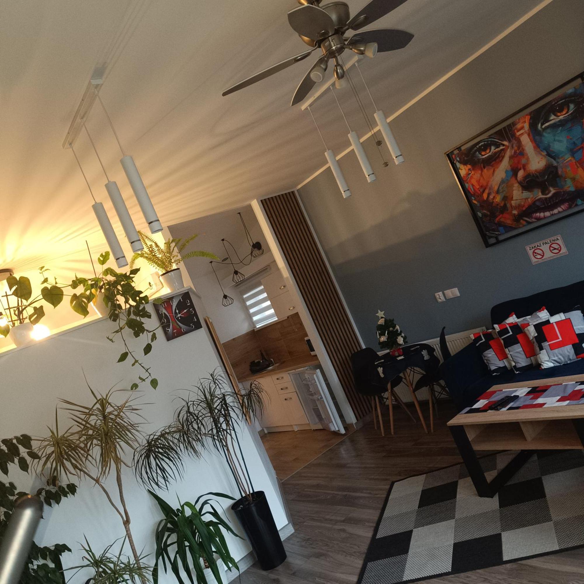 Apartament Przy Bialym Koniu كوزتسالين المظهر الخارجي الصورة